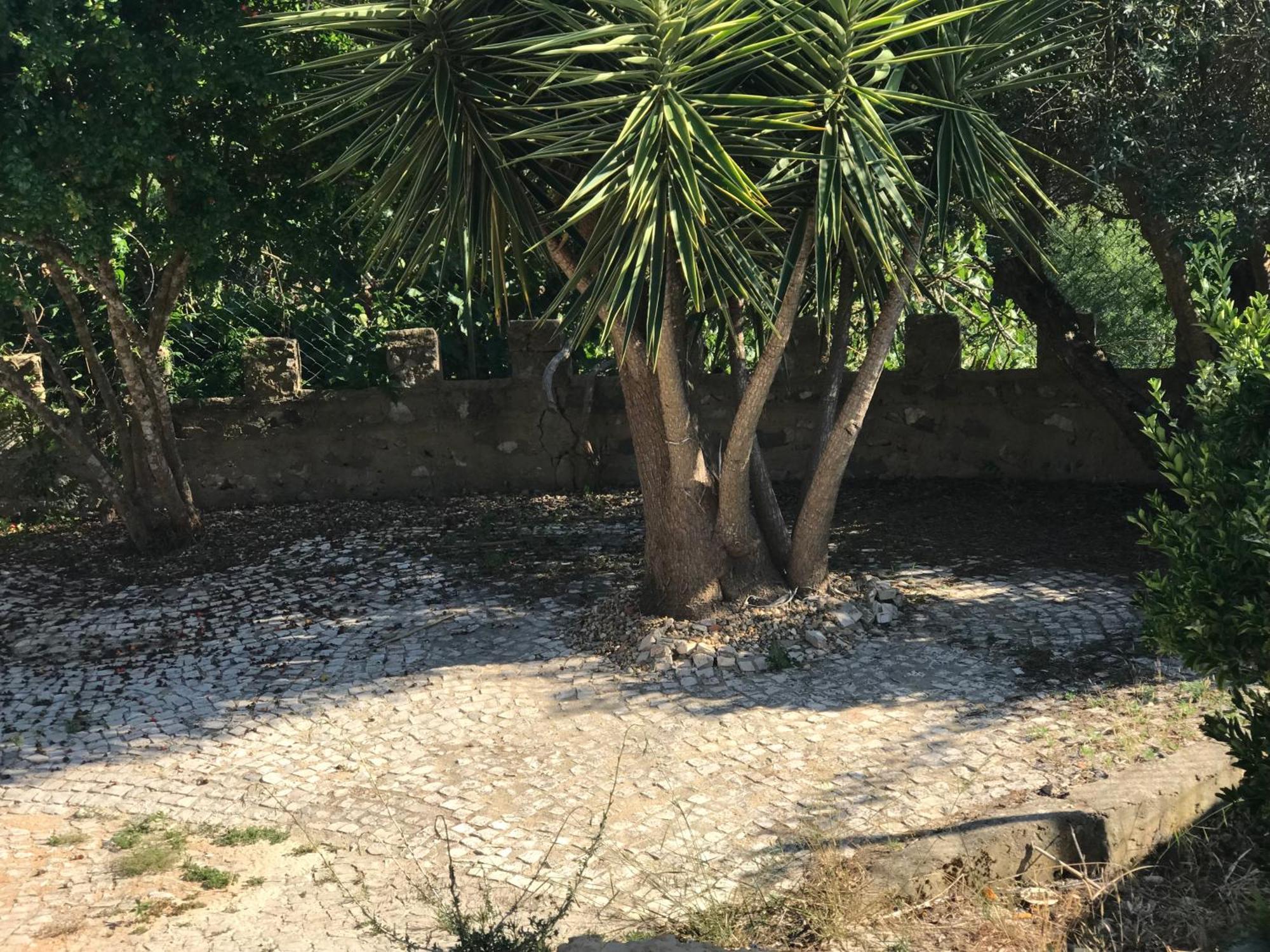 Quinta Dos Canais Setúbal Exterior foto